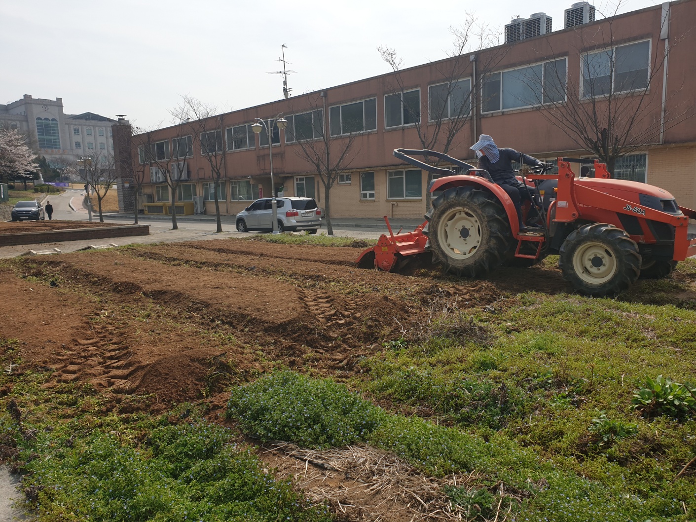 2023년도 화단조성 1번째 첨부파일 이미지