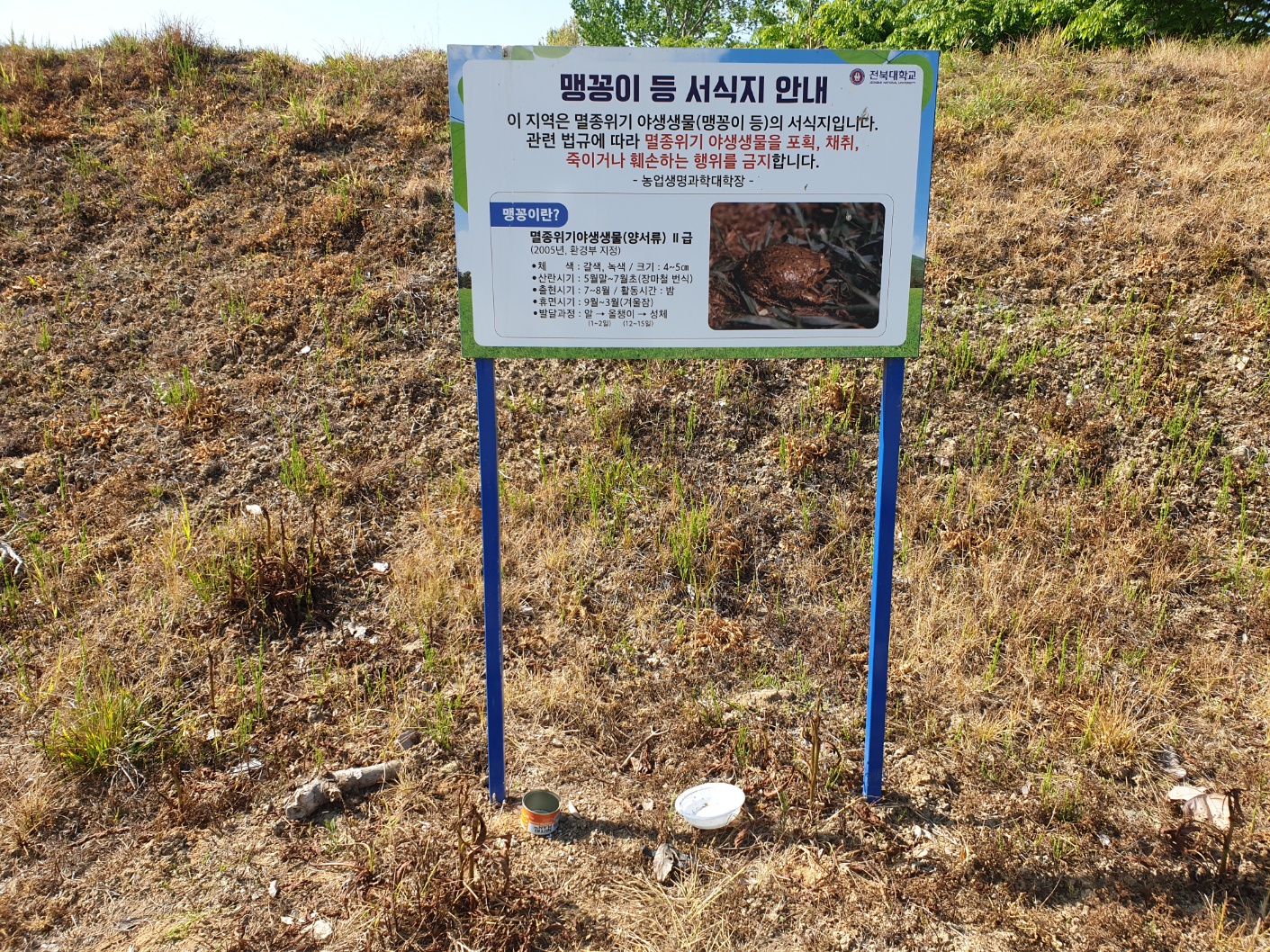 2023년도 농장내 맹꽁이 서식지 1번째 첨부파일 이미지