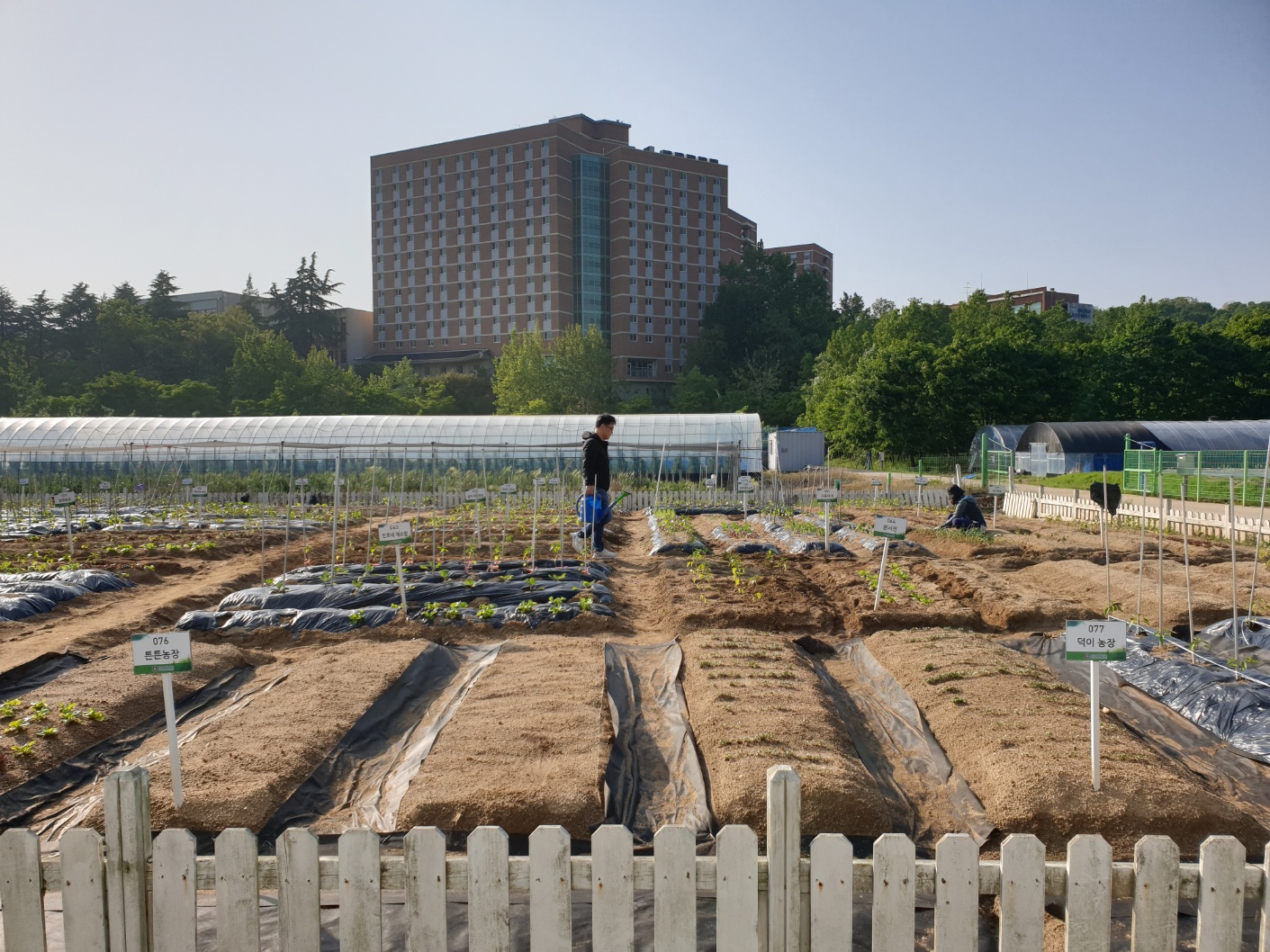 2023년도 텃밭 개장 1번째 첨부파일 이미지