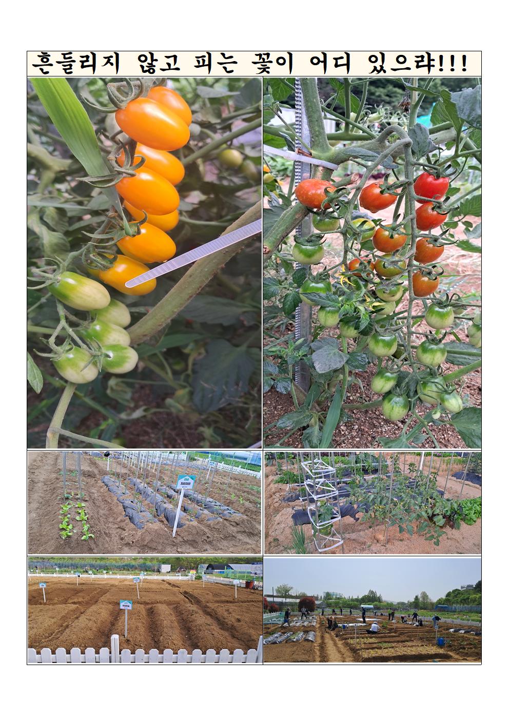 2024 캠퍼스텃밭 포스터 공모전 수상작 2번째 첨부파일 이미지