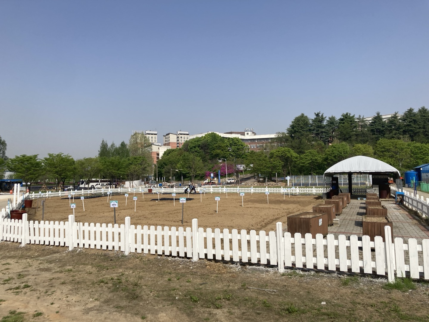 2024년 텃밭 사진(구획정리, 개장, 모종나눔 등) 2번째 첨부파일 이미지