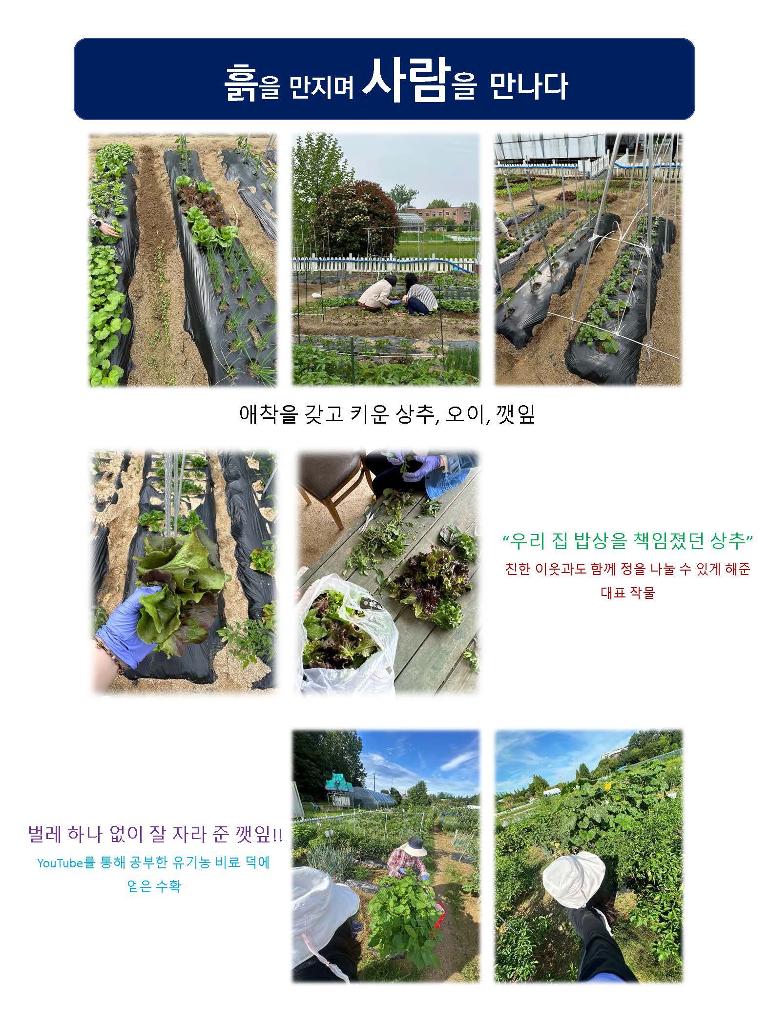 2025년 캠퍼스텃밭 포스터 공모전 수상작 4번째 첨부파일 이미지