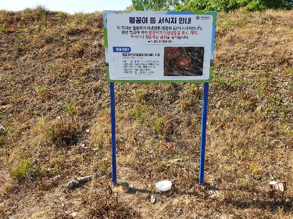 2023년도 농장내 맹꽁이 서식지 대표이미지