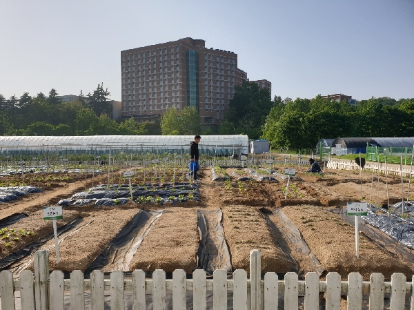 2023년도 텃밭 개장 대표이미지