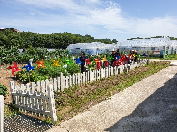 2023년도 어린이 텃밭 체험 대표이미지