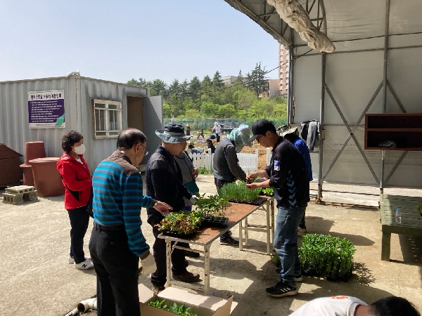 2024년 텃밭 사진(구획정리, 개장, 모종나눔 등) 대표이미지